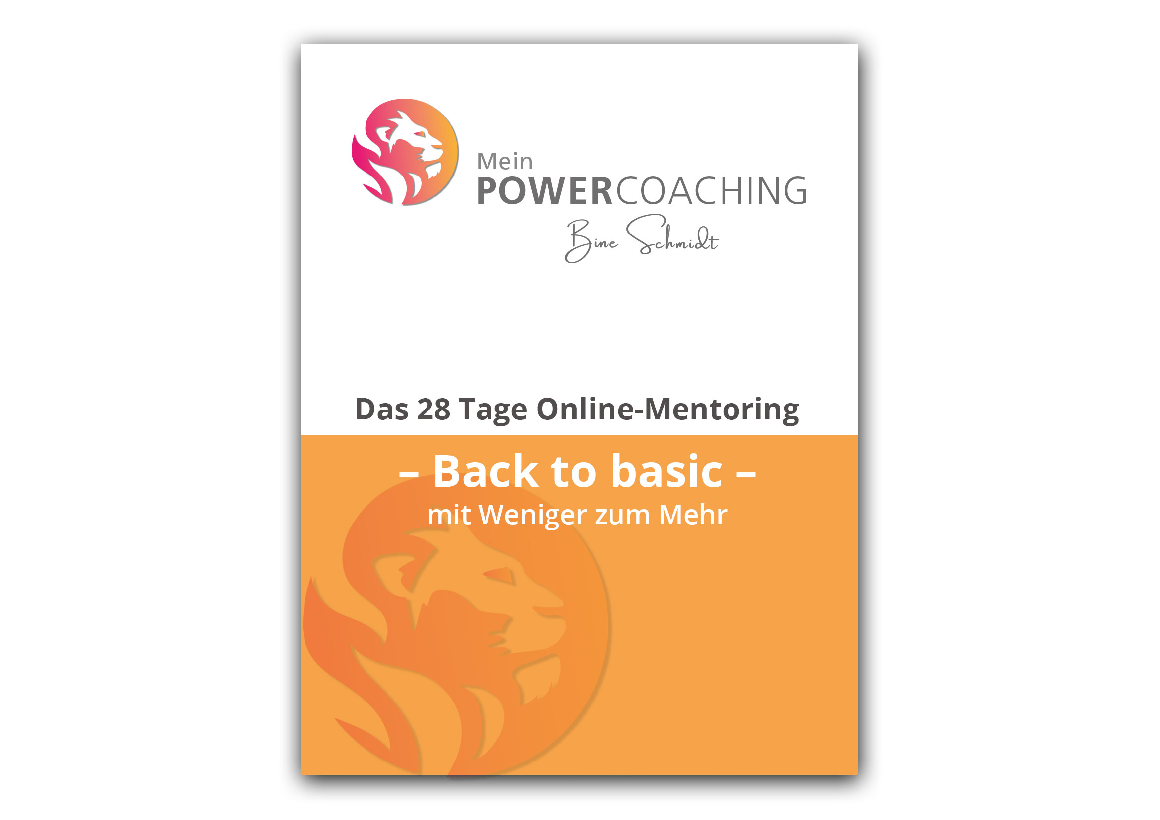 Bine Schmidt Power Coaching